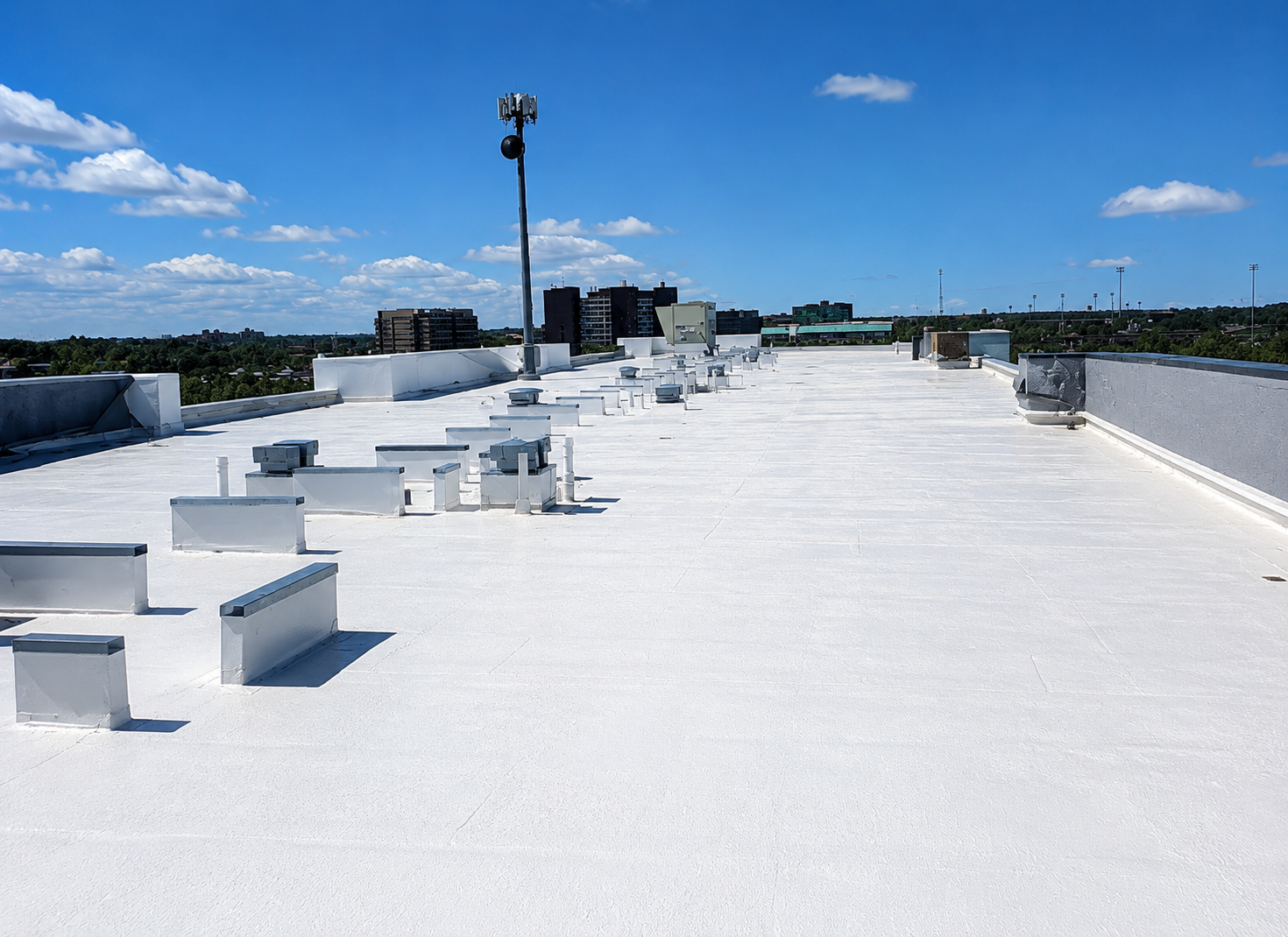 Roof